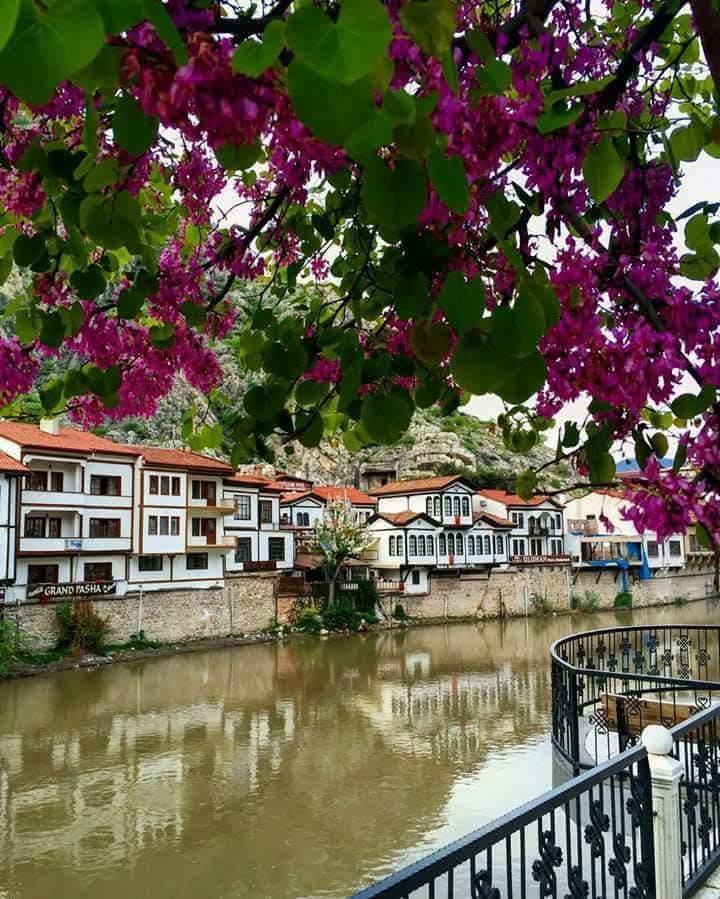 Hotel Sehri̇-Zade Yalisi Amasya Exteriér fotografie